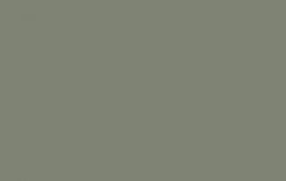 ral 7033
